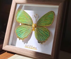 Aurora Wings