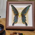 Velvet Flight