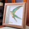 Skybound Swallow